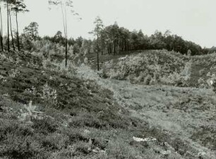 Oberlausitzer Heide: Trockener Gieser (Jesor) bei Zeißholz am Tagebau im Heidebiotop. (geschloss. Hohlform im Bereich gestauchter Braunkohlenflöze) Nr. 8