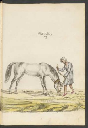 Illustration: f. 93v-94r
