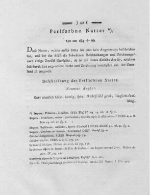 Perlfarbne Natter.
