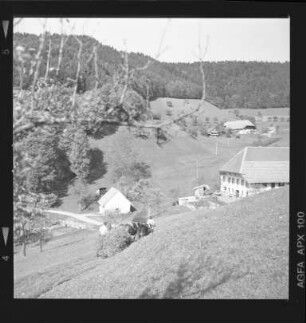 Der Bächlehof / Bächlishof