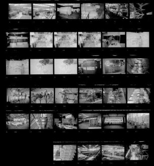Intervitis '72 - Weinbauausstellung, 19.08.-27.08.1972, Messe Stuttgart-Killesberg (1)