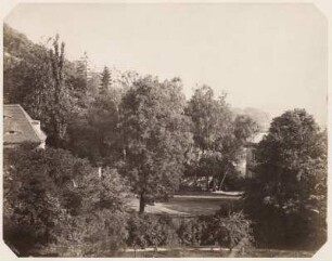 Blick in den Park der königlichen Sommerresidenz in Wachwitz : Dresden-Wachwitz. Blick in den Park der königlichen Sommerresidenz in Wachwitz