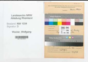 Entnazifizierung Wolfgang Wurzer , geb. 31.01.1905 (Oberst)