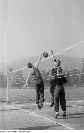 Drei springende Volleyballspieler am Netz auf dem Spielfeld der Sportschule