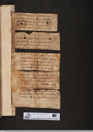 Fragment