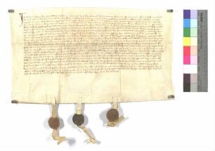 Brant von Saunsheim, Ritter, gesessen zu Hundorf, und Bethe, seine Hausfrau, verkaufen an das Kloster Schäftersheim Gülten zu Scheintail; ausgestellt o.O., 1373 (St. Katharinentag); Siegel: Brant von Saunsheim, Dietrich Geyer und Andres von Seinsheim.