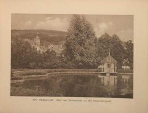 Bad Salzschlirf. Eingang zum Schloß Eisenbach.
