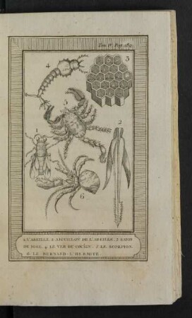 Tafel: 1. L'abeille. 2. Aiguillon de l'abeille. [...]