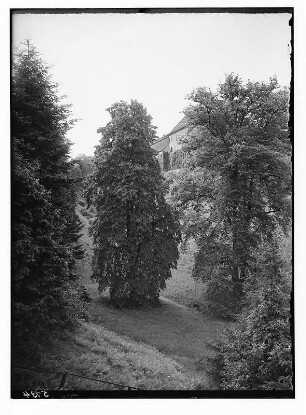 Meißen-Siebeneichen. Schloss Siebeneichen. Ansicht von Südost. Im Vordergrund Ulme und Linde