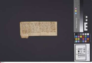 Bensheim: Petri archiepiscopi Moguntini confirmatio fundationis altaris sti. Nicolai in parochiali ecclesia Bensheim