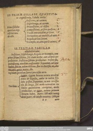 De Primae Syllabe Quantitate cognoscenda, Tabula tertia.