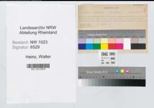 Entnazifizierung Walter Heinz , geb. 22.09.1892 (Verw.Inspektor)