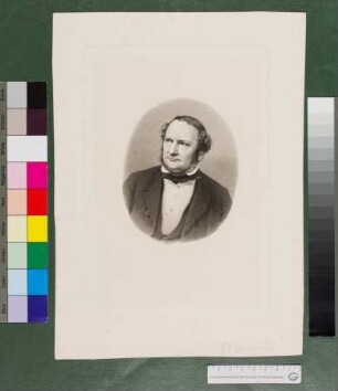 Brustbildnis des Georg Gervinus