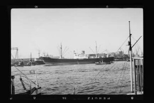 Duisburg (1951), Frachtschiff (reefer), Hamburg-Amerikanische Packetfahrt-Actien-Gesellschaft, Hamburg, Bau-Nr. 444