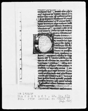 Biblia sacra — Initiale C, Folio 215 verso