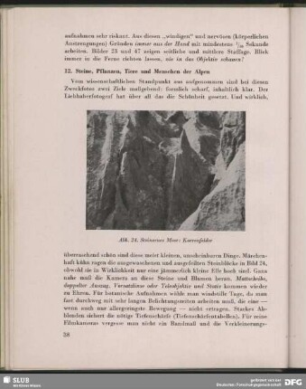 Steinernes Meer: Karrenfelder