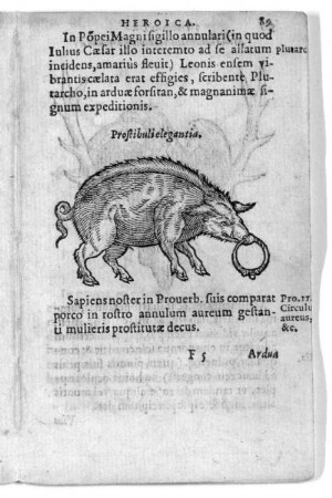 Postibuli elegantia.