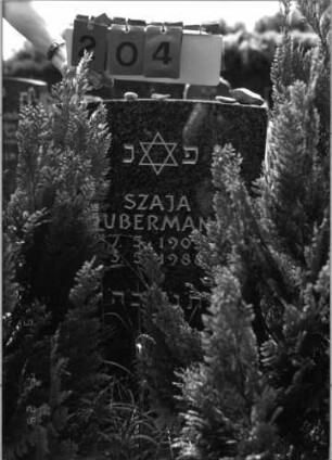 Grabstein 204