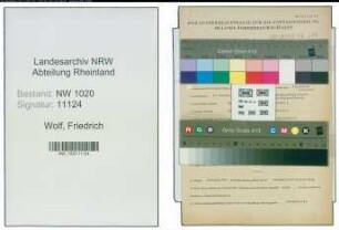 Entnazifizierung Friedrich Wolf , geb. 28.01.1890 (Treuhaender)