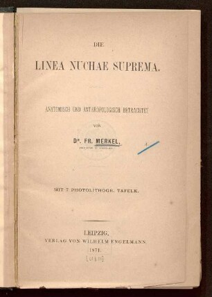 Die Linea nuchae suprema : anatomisch und anthropologisch betrachtet