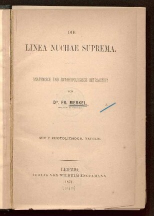 Die Linea nuchae suprema : anatomisch und anthropologisch betrachtet