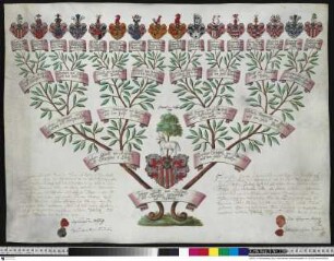 Dallwitz, Johann Wulf von. auf Starzeddel, Vettersfelde und Raubarth