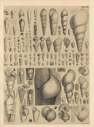 Tab. 192