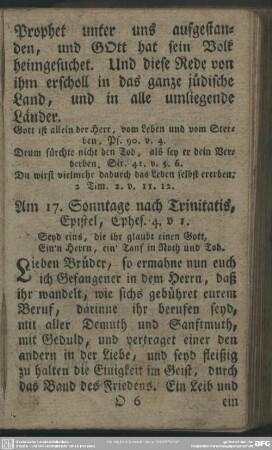 Am 17. Sonntage nach Trinitatis