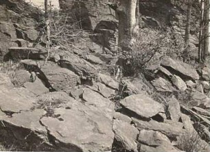 Oberlausitz. Hochstein bei Bautzen. Blockmeer südlich der mittleren Granitklippen