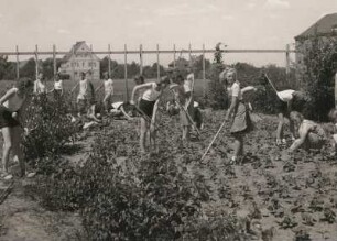 Dresden-Südvorstadt, Teplitzer Straße. Lehrerinnenbildungsanstalt. Schülerinnen bei der Gartenarbeit