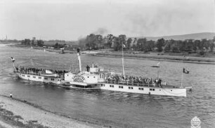 Personen-Seitenraddampfer "Lobositz" (1891, Werft Blasewitz). Schrägansicht bei Fahrt elbaufwärts bei Pratzschwitz. Blick zur Wesenitzmündung