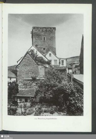 Wasserburg Reipoltskirchen