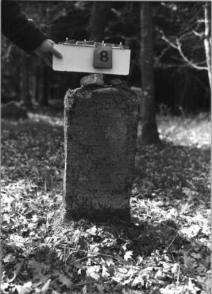 Grabstein 8 (Index: 99788860) Material: Granit (?) Zustand: Abschluß beschädigt, Schriftfeld stark verwittert Beschreibung: Stele auf Sockel, Segmentbogenabschluß: Grabstein 8