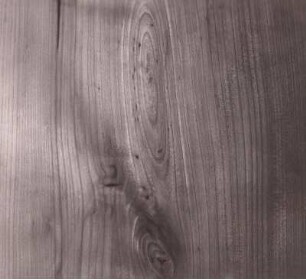 Tangentialschnitt durch astiges Holz