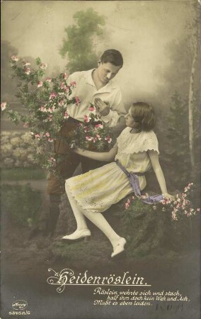 Heidenröslein - Röslein wehrte sich und stach [...]