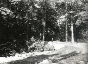 Wolfstal bei Roßwein. Gebäude am Schachtkopf des "Walterschachts". Ansicht mit Brücke