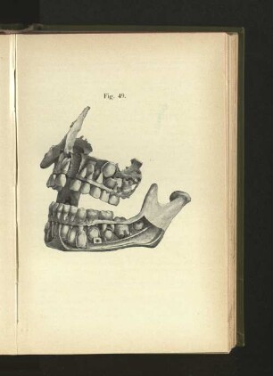 Fig. 49.