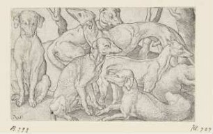 Sechs Hunde