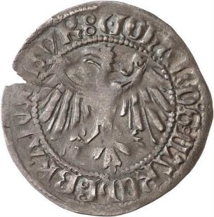 Brandenburg: Johann Cicero