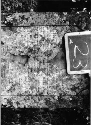 Grabstein 23 (Index: 100090620) Material: Sandstein Zustand: abgeblättert/verwittert mit Textverlust Maße HxBxT: 93x60x9 cm Beschreibung: Stele, doppelt eingezogener Segmentbogenabschluß, Schriftfeld eingetieft: Grabstein 23A