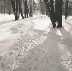 Dresden. Großer Garten. Verschneiter Weg