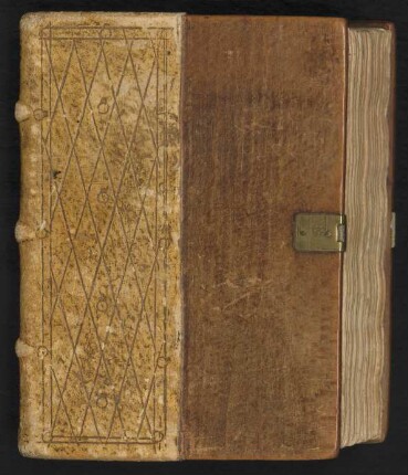 Stephan Fridolin : Hdschr. 110