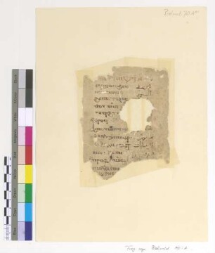[Theotokia] : Fragm. copt. Pischoi Psalmod. 70