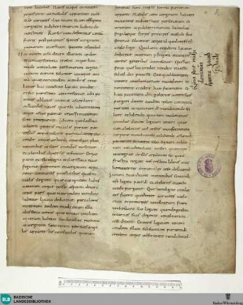 Fragment - Cod. Aug. Fr. 207