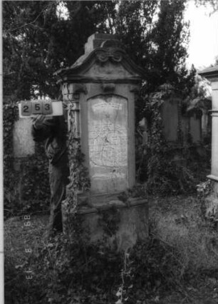 Grabstein 253 (Index: 100093460) Maße HxBxT: 215x72x36 cm Symbolik: Verzierungen: Grabstein 253