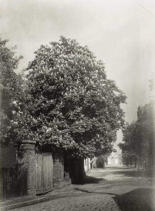 Bauernhof, Kitzen (Kreis Leipzig)