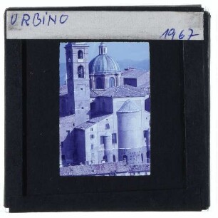 Urbino, Dom