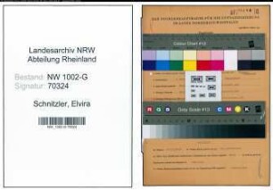 Entnazifizierung Elvira Schnitzler, geb. 05.03.1906 ()