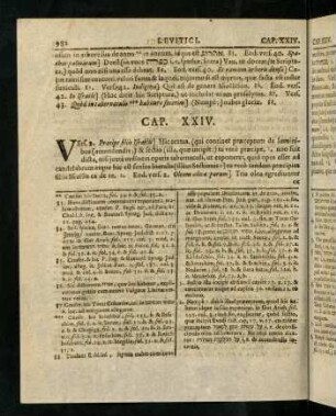 982-989, Cap. XXIV