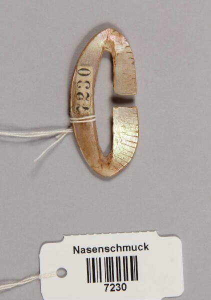 Nasenschmuck